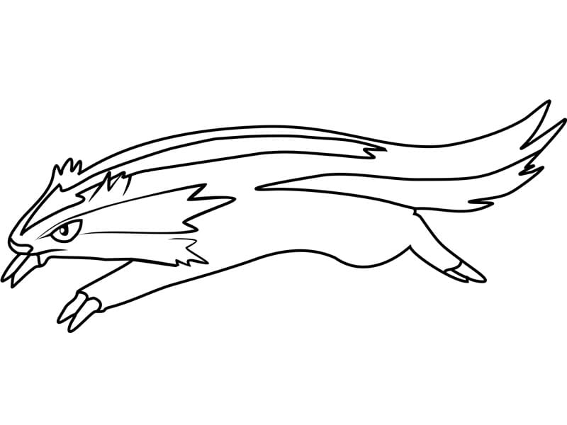 Linoone Pokemon ausmalbilder