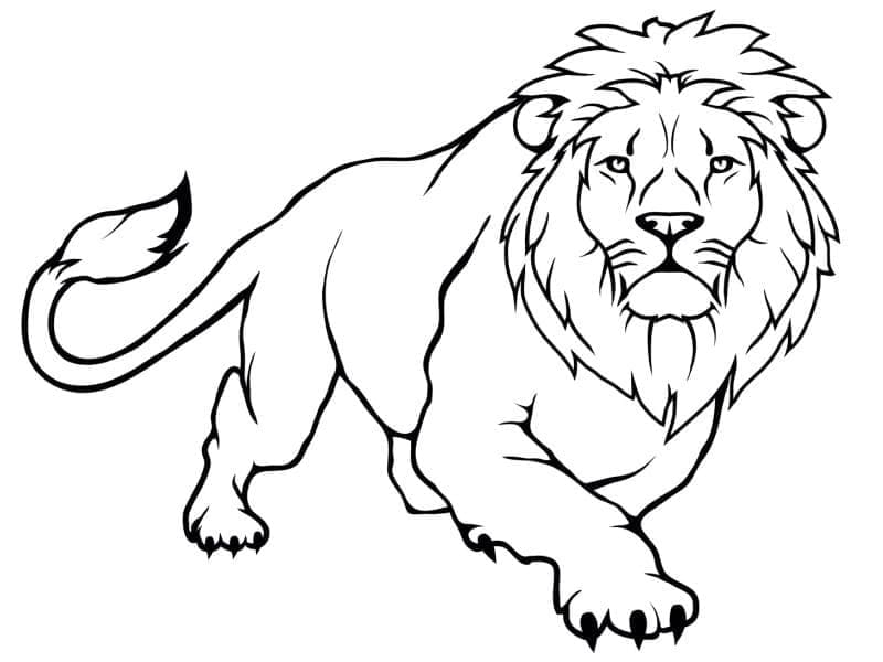 Löwe in der Wildnis ausmalbilder