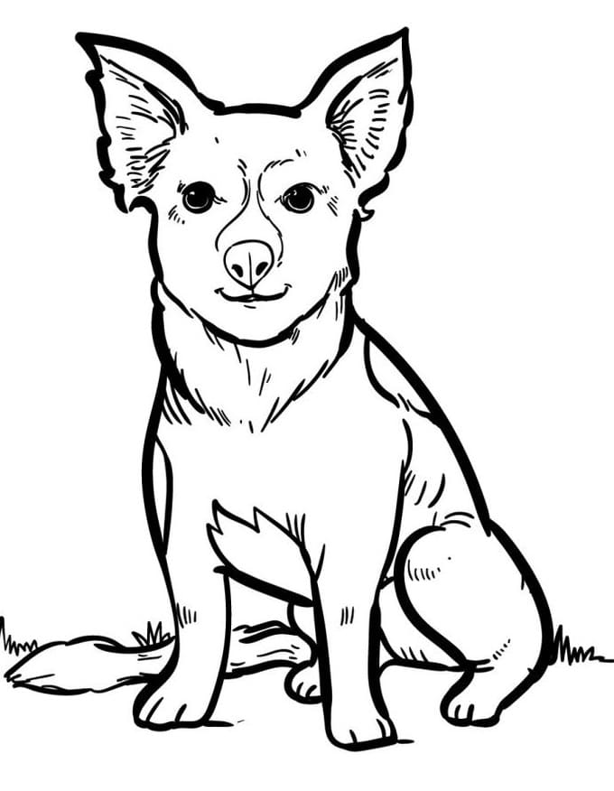 Lustiger Hund ausmalbilder