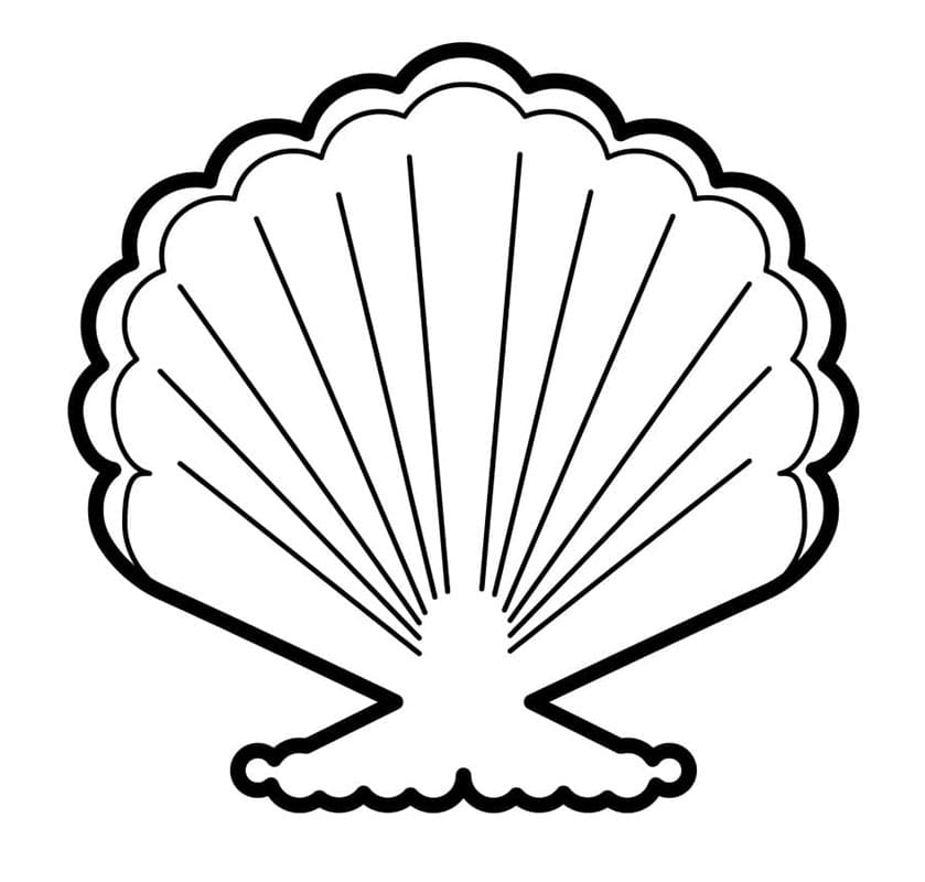 Muschel für Kinder ausmalbilder