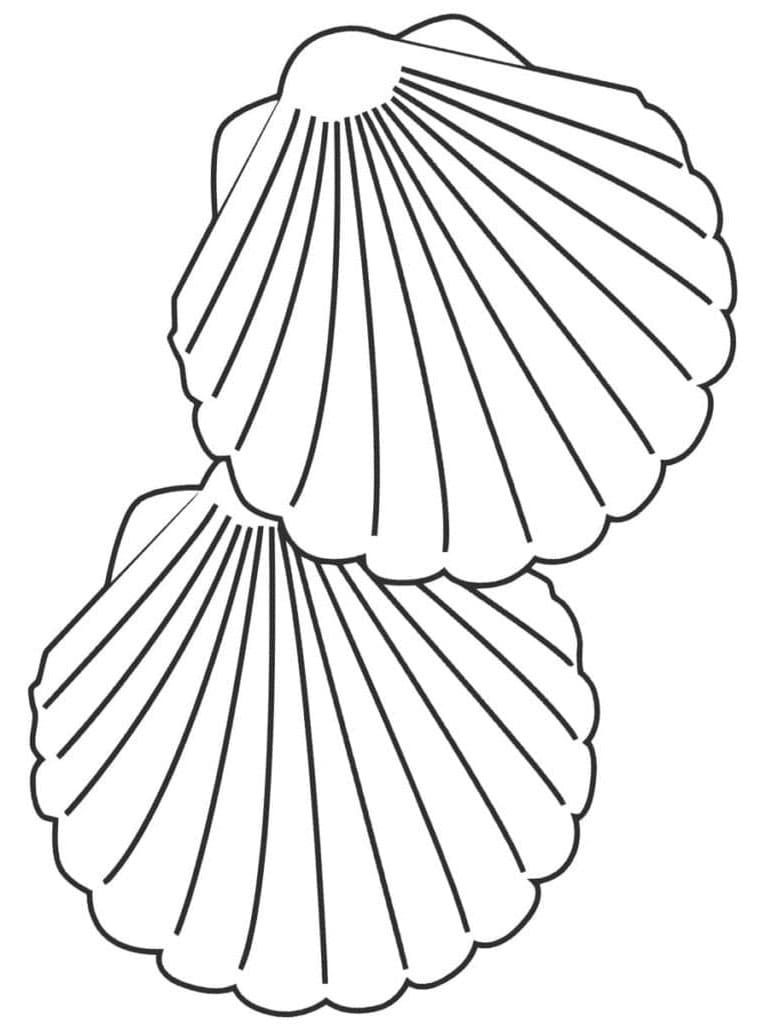 Muschel kostenlos ausmalbilder
