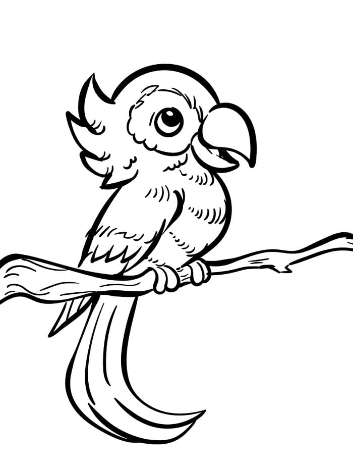 Normaler Vogel ausmalbilder