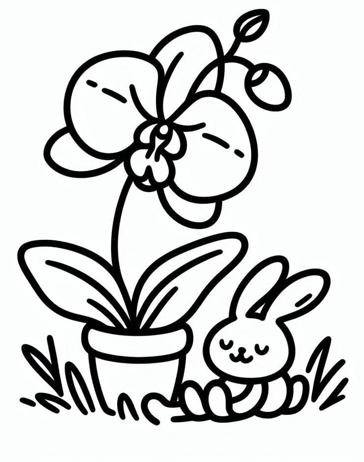 Orchidee druckfertig ausmalbilder