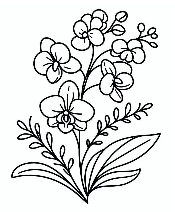 Orchidee zum Drucken ausmalbilder