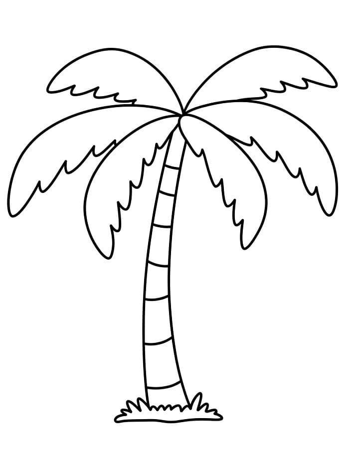 Palme kostenlos ausmalbilder