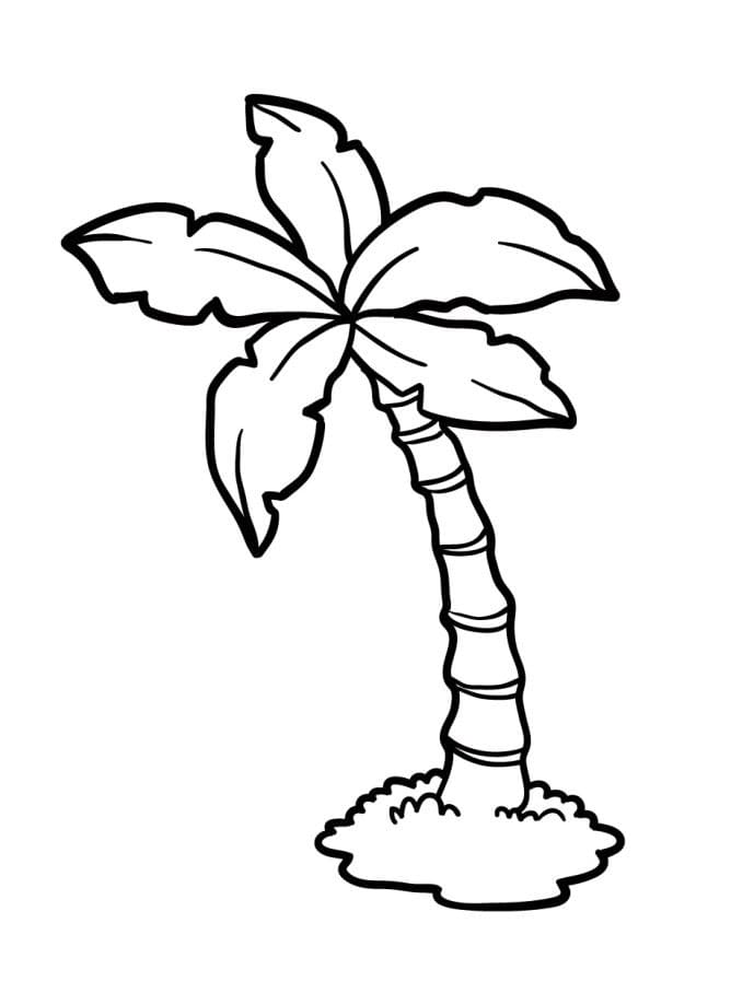 Palme zum Drucken ausmalbilder