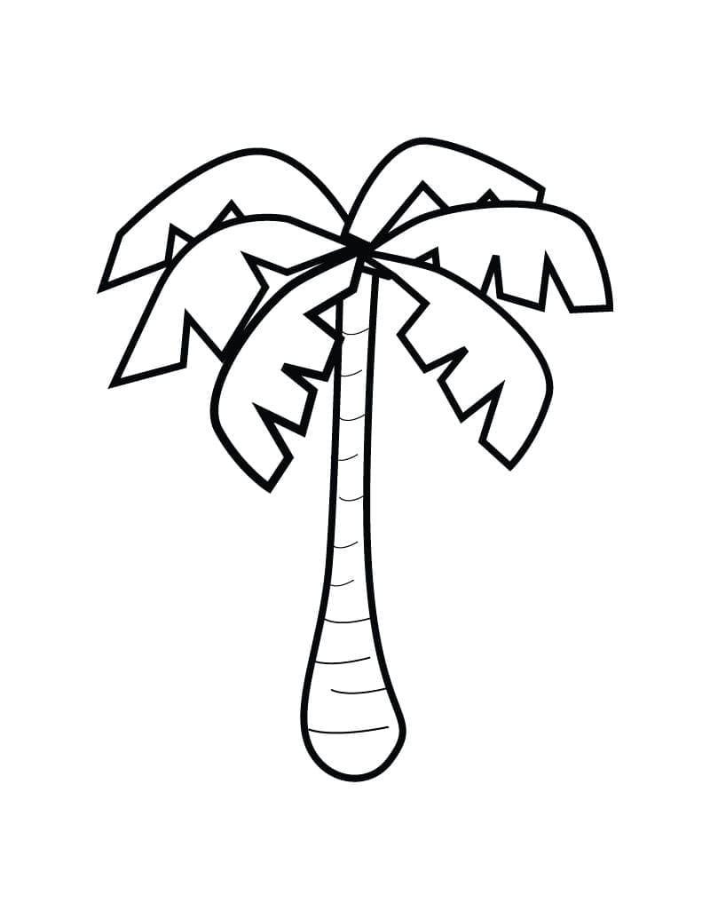 Palmenbild zum Drucken ausmalbilder