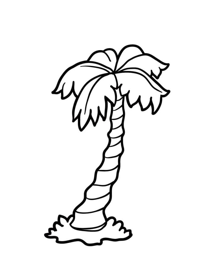 Perfekte Palme ausmalbilder