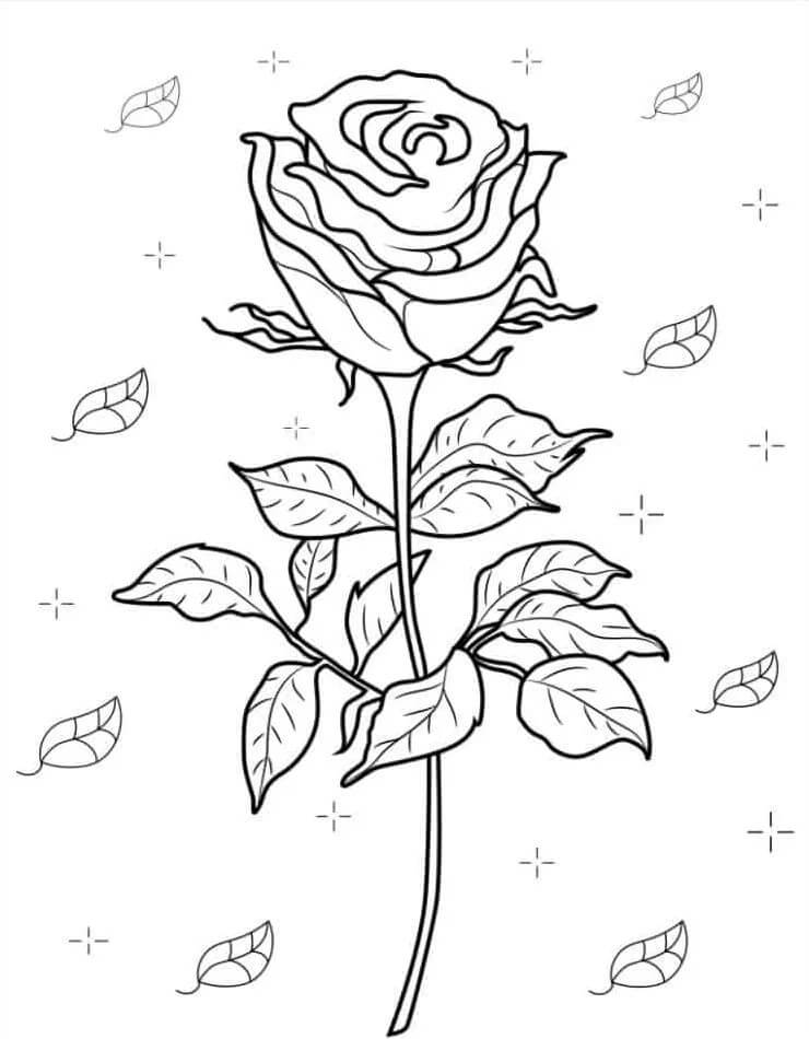 Rose 1 ausmalbilder