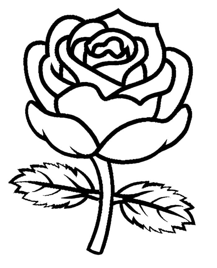 Rose druckfertig ausmalbilder