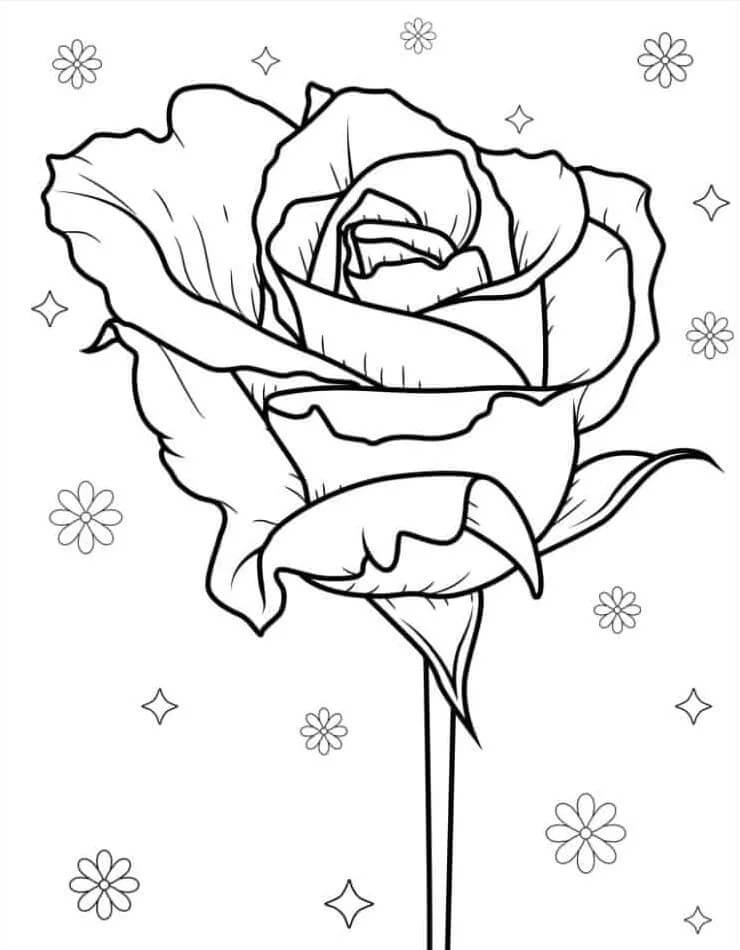 Rose für 1-jährige Kinder ausmalbilder