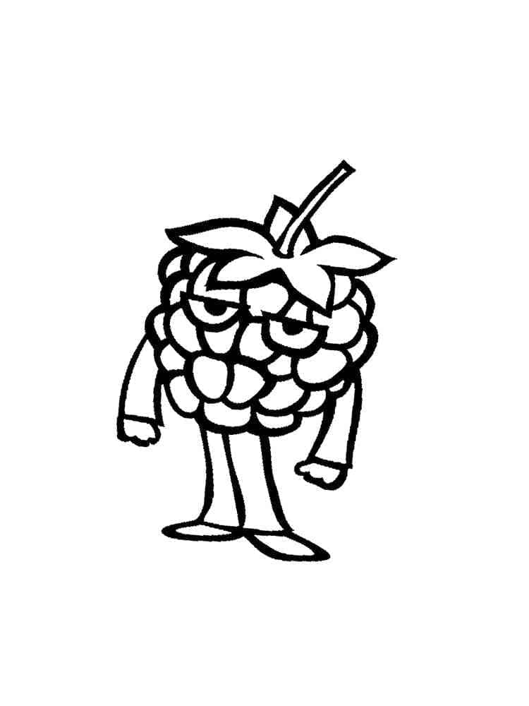 Saftige Himbeere ausmalbilder