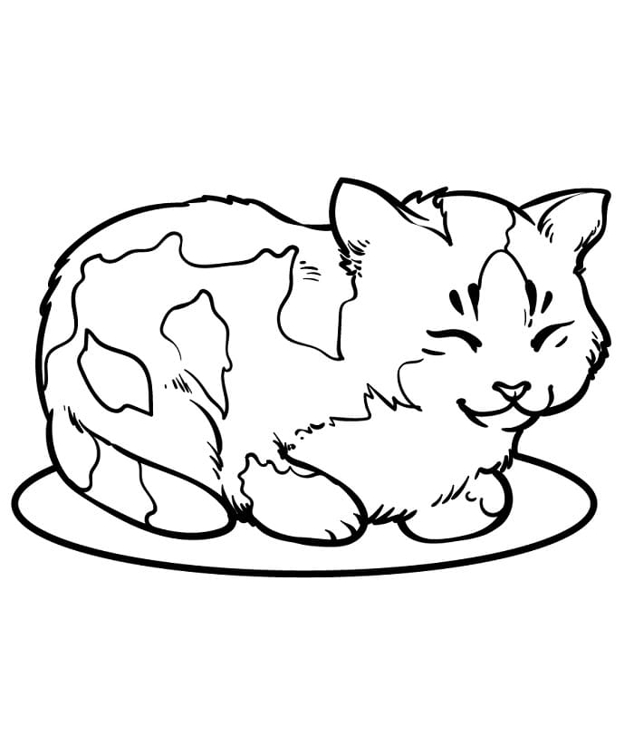 Schöne Katze ausmalbilder