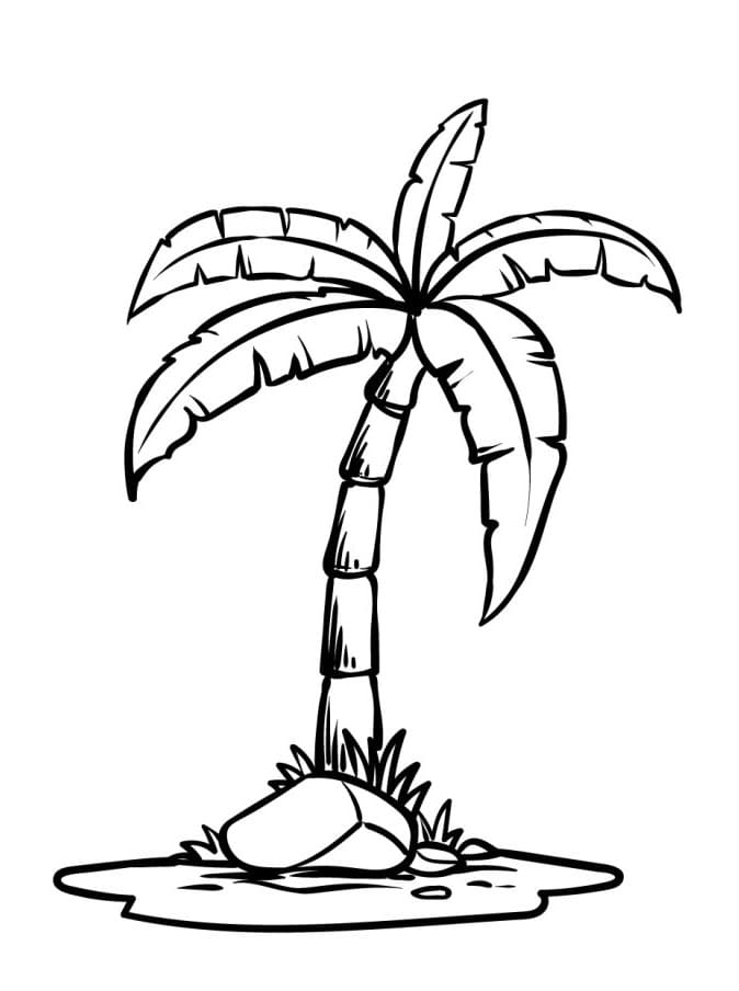 Schöne Palme ausmalbilder