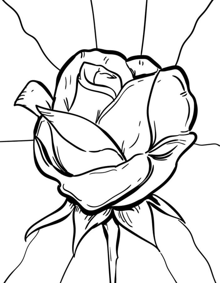 Schöne Rose ausmalbilder