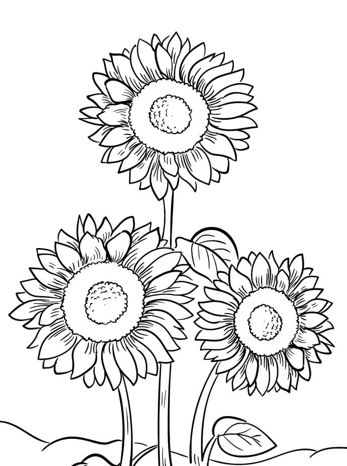 Schöne Sonnenblume ausmalbilder