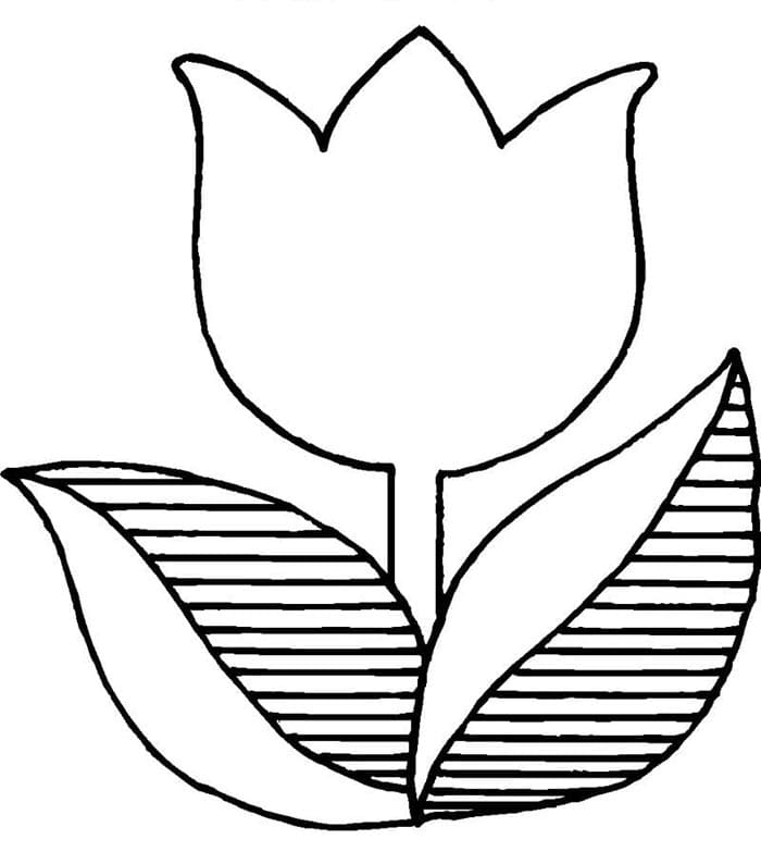 Schöne Tulpe ausmalbilder