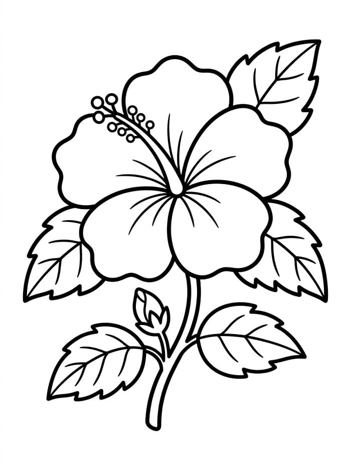 Schöner Hibiskus ausmalbilder