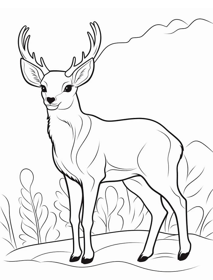 Sehr süßer Hirsch ausmalbilder