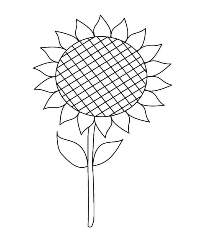 Sonnenblume 1 ausmalbilder