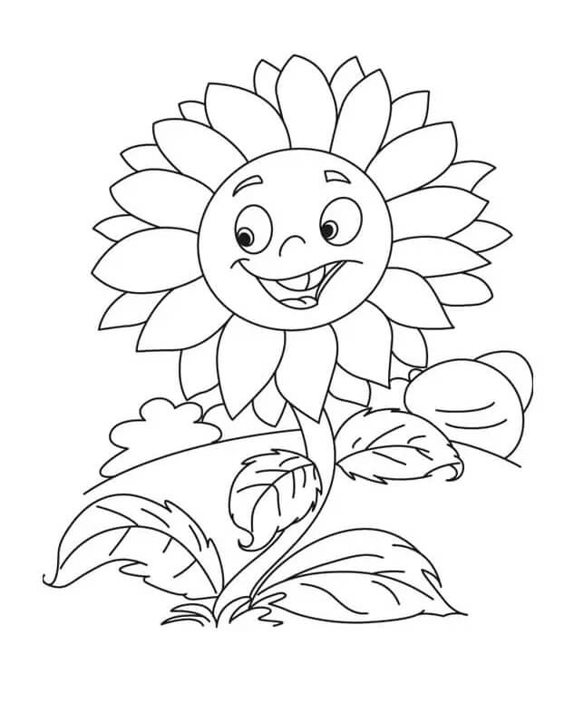 Sonnenblume Bild ausmalbilder