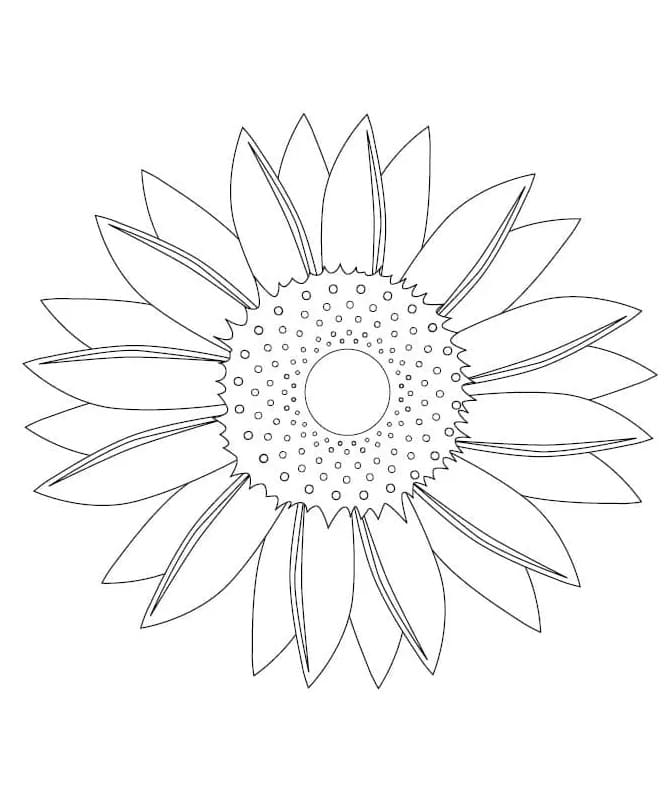 Sonnenblume ausdrucken ausmalbilder