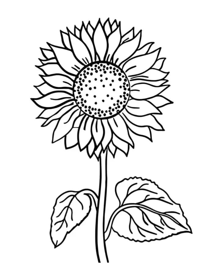 Sonnenblume druckbar für Kinder ausmalbilder