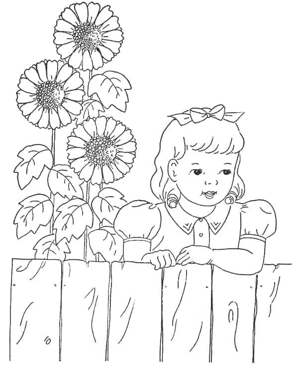 Sonnenblume druckfertig ausmalbilder