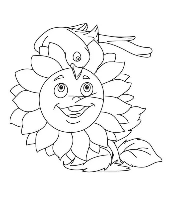 Sonnenblumenbild gratis ausmalbilder