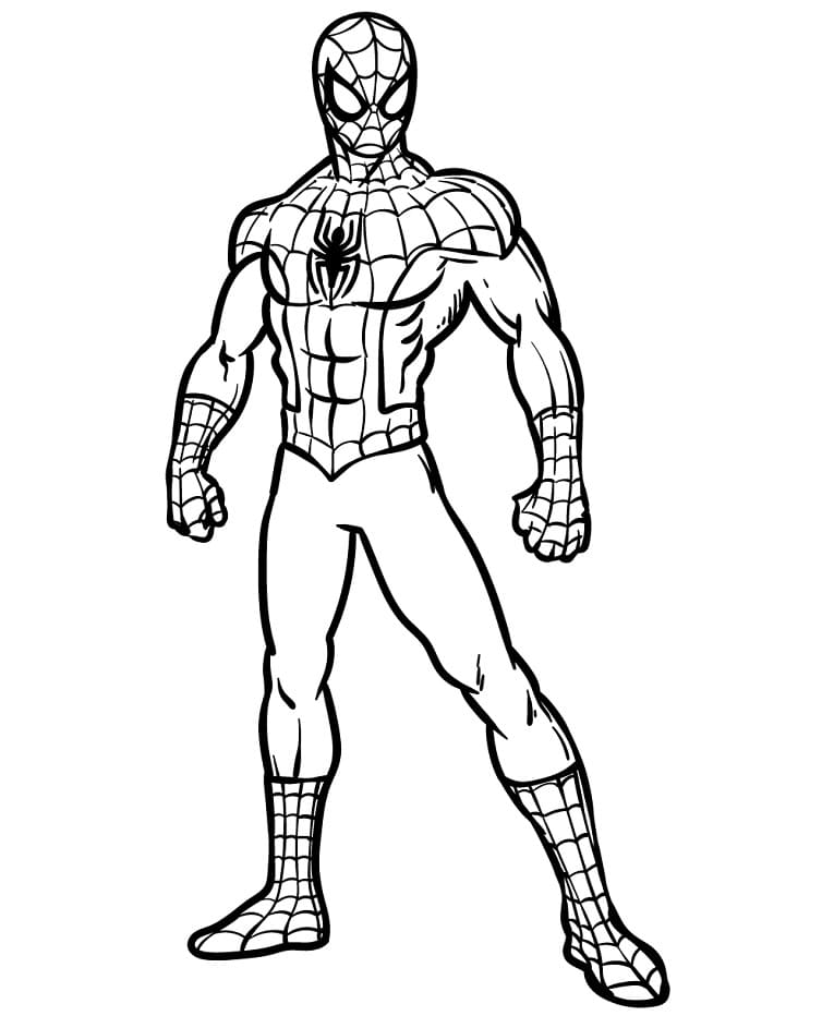 Spiderman Marvel Superheld ausmalbilder