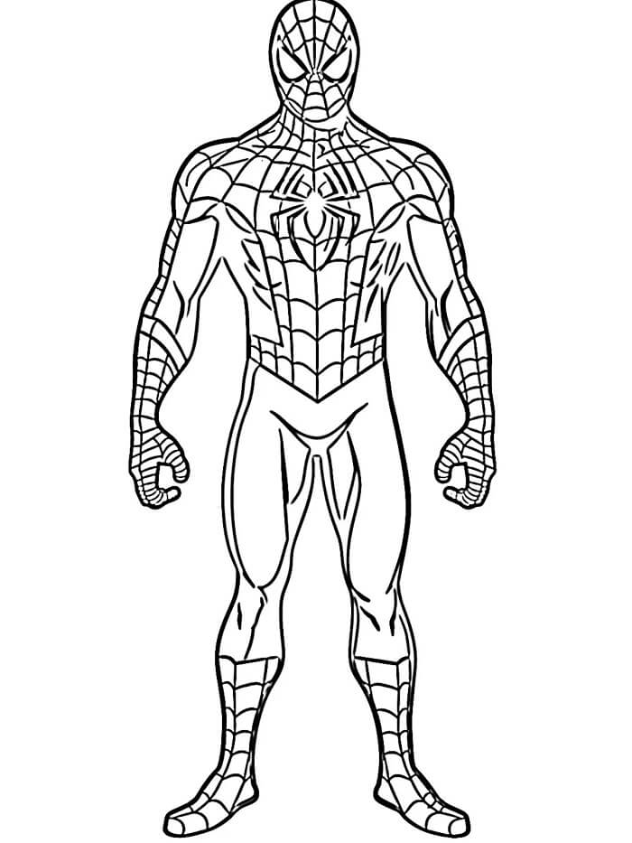 Spiderman für 4-jährige Kinder ausmalbilder