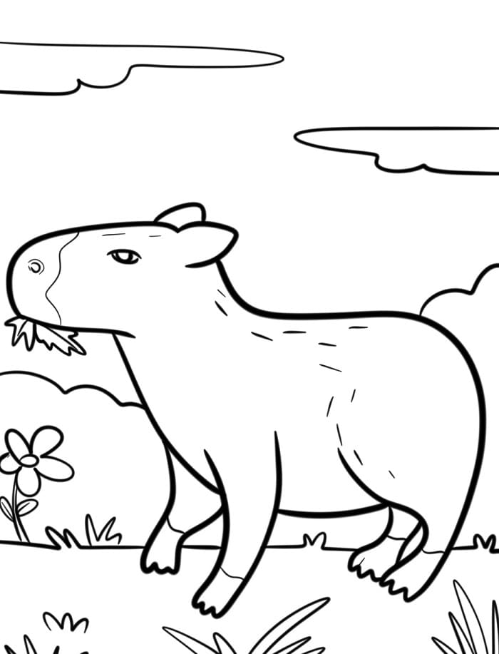 Süßes Capybara ausmalbilder