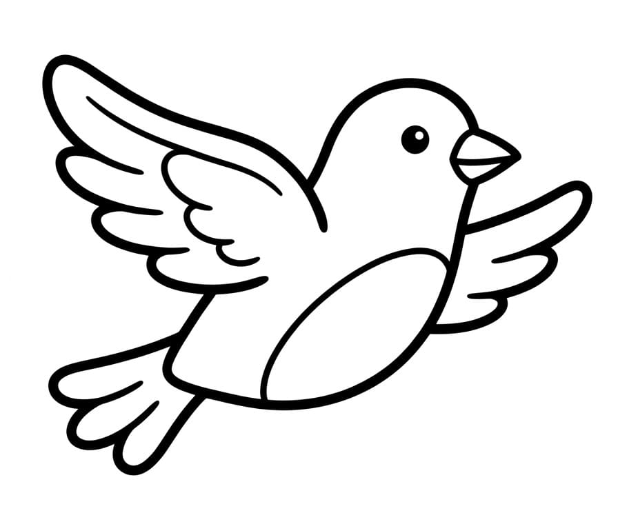 Tier Vogel ausmalbilder