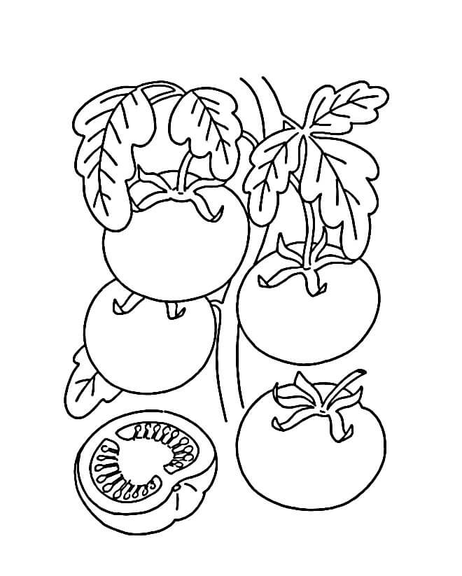 Tomate Bild ausmalbilder
