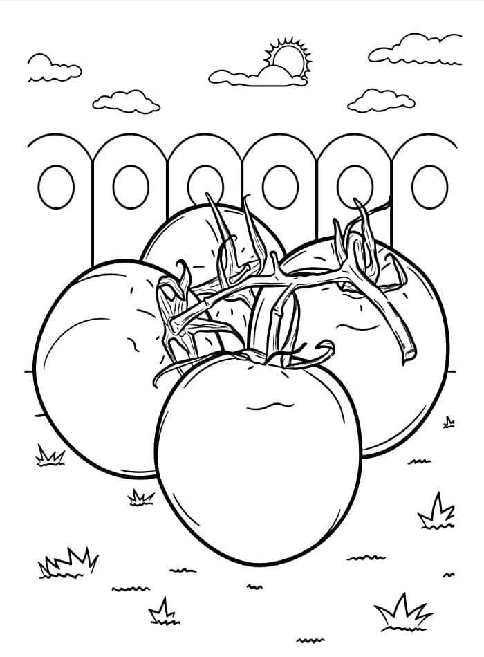 Tomate für Kinder ausmalbilder