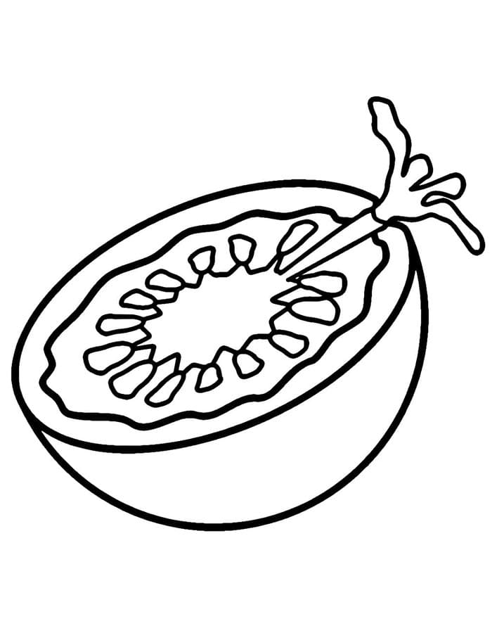 Tomatenfrucht ausmalbilder