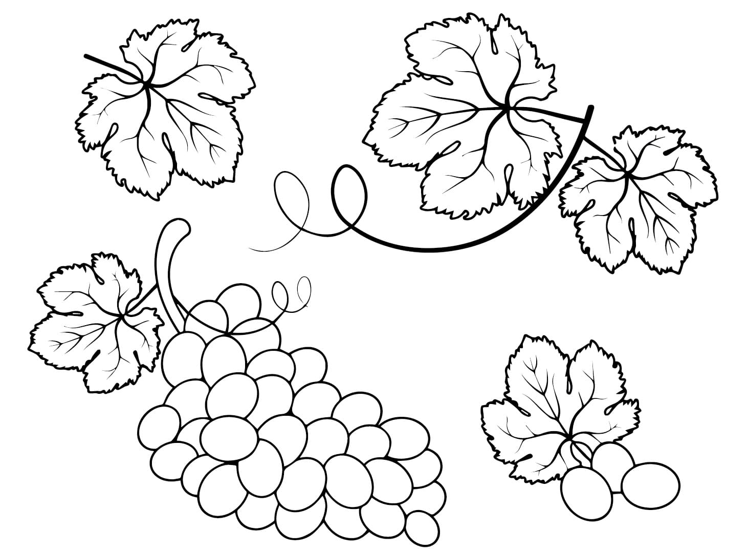 Trauben (5) ausmalbilder