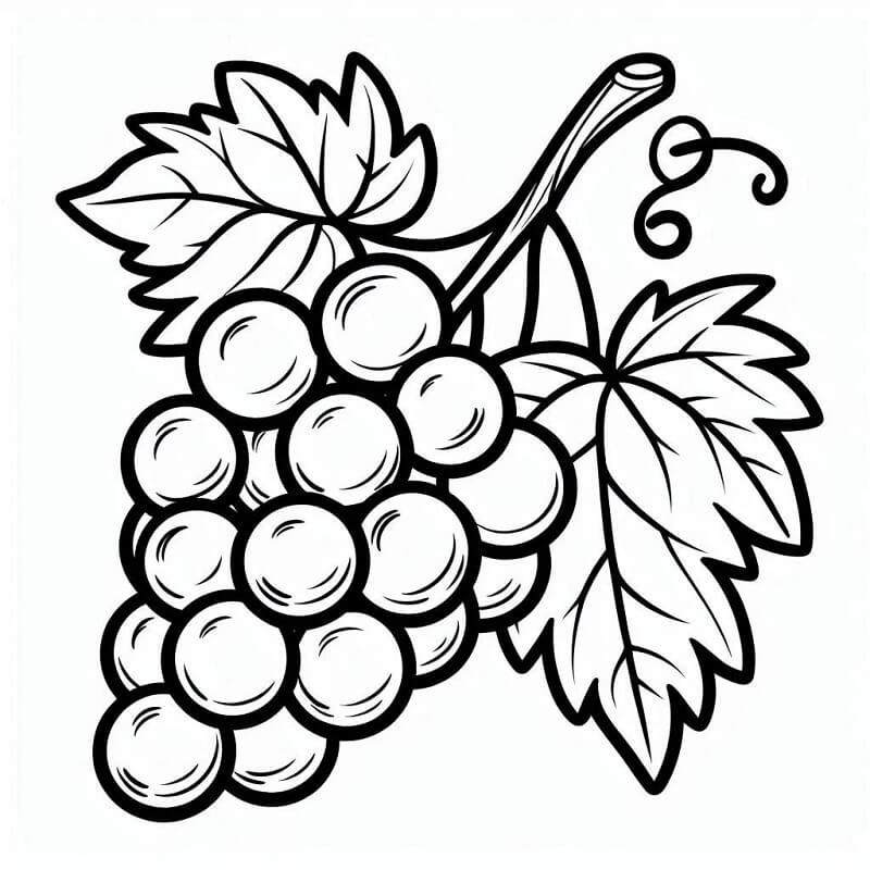 Trauben Druckfertig ausmalbilder