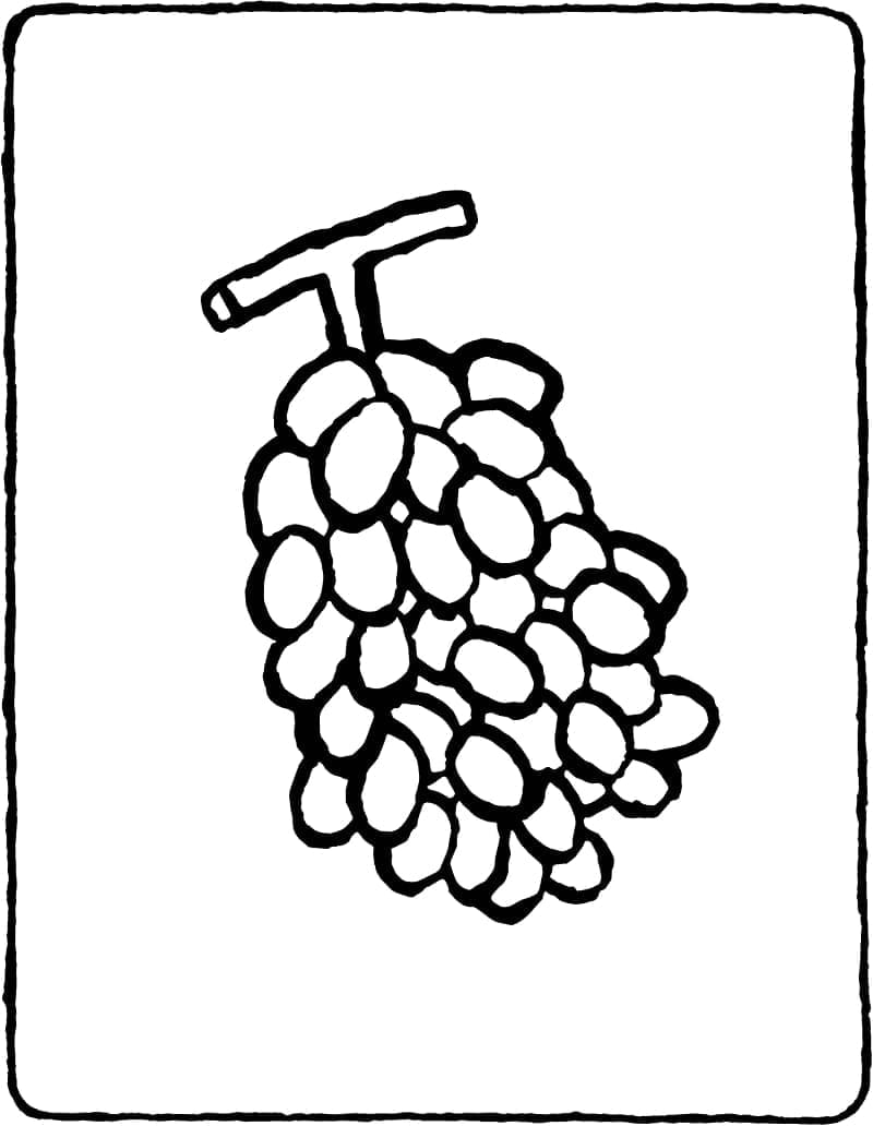 Trauben druckbereit ausmalbilder