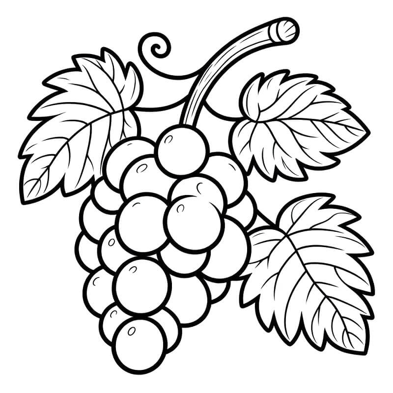 Trauben gratis ausmalbilder