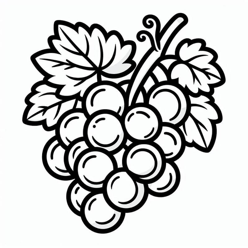 Trauben kostenlos ausmalbilder