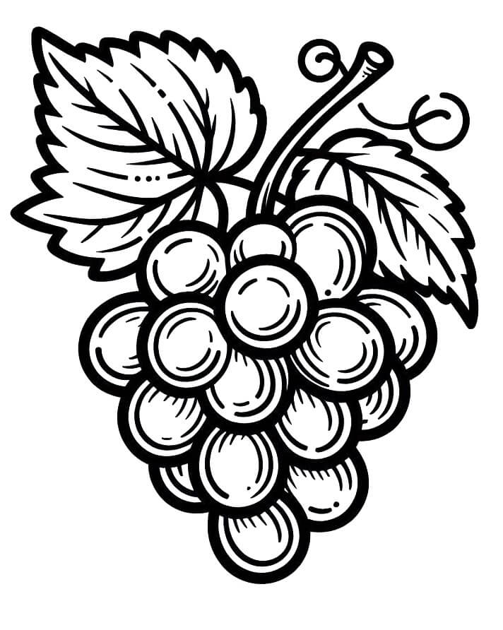 Trauben zum Ausdrucken ausmalbilder