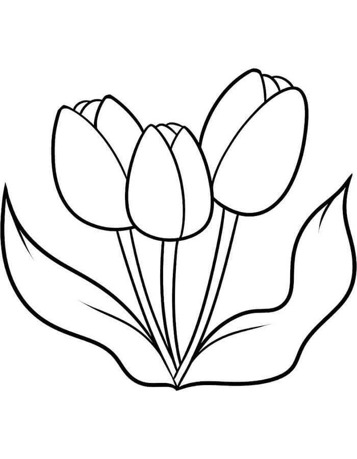Tulpe für 1-jährige Kinder ausmalbilder