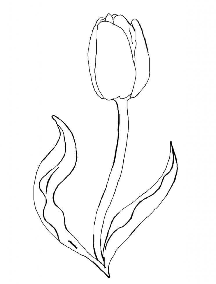 Tulpe für 2-jährige Kinder ausmalbilder