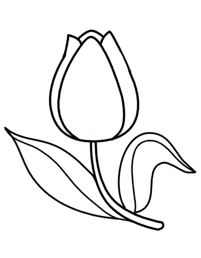 Tulpe für 3-jährige Kinder ausmalbilder