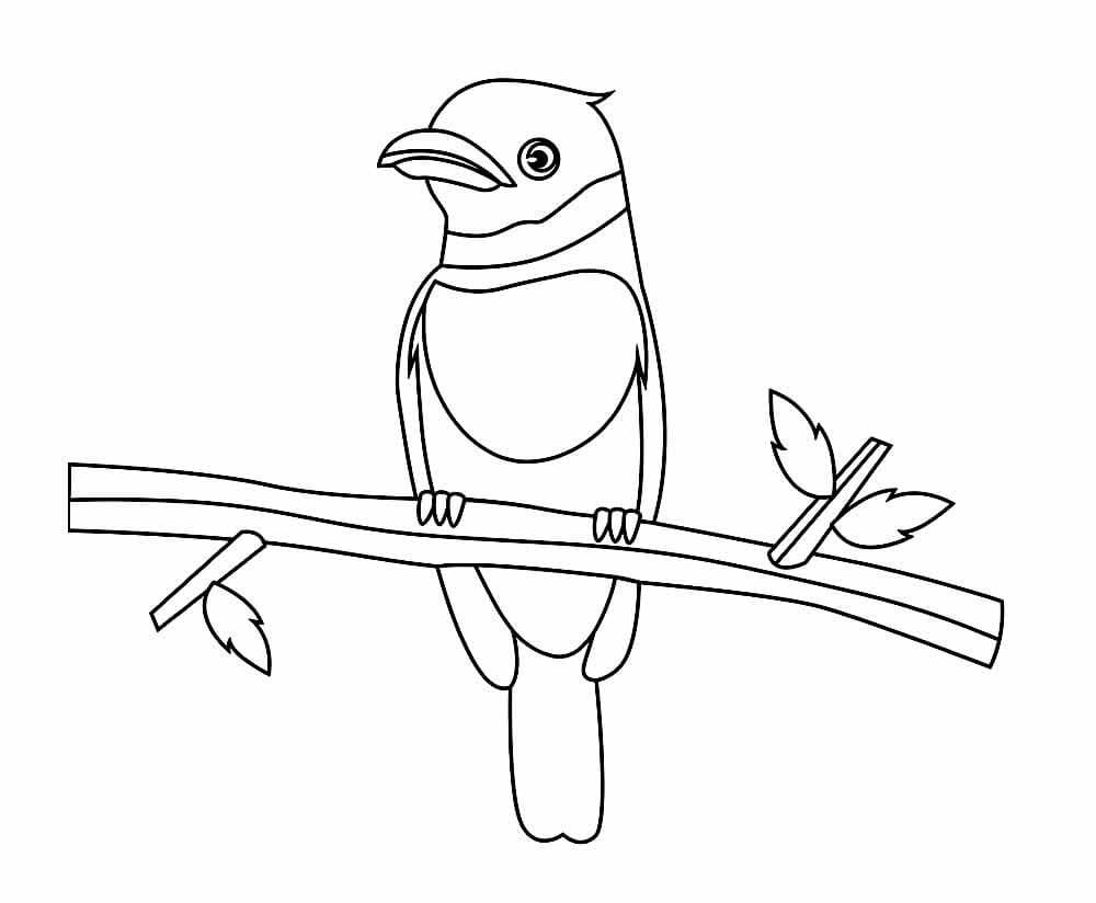 Vogel (2) ausmalbilder