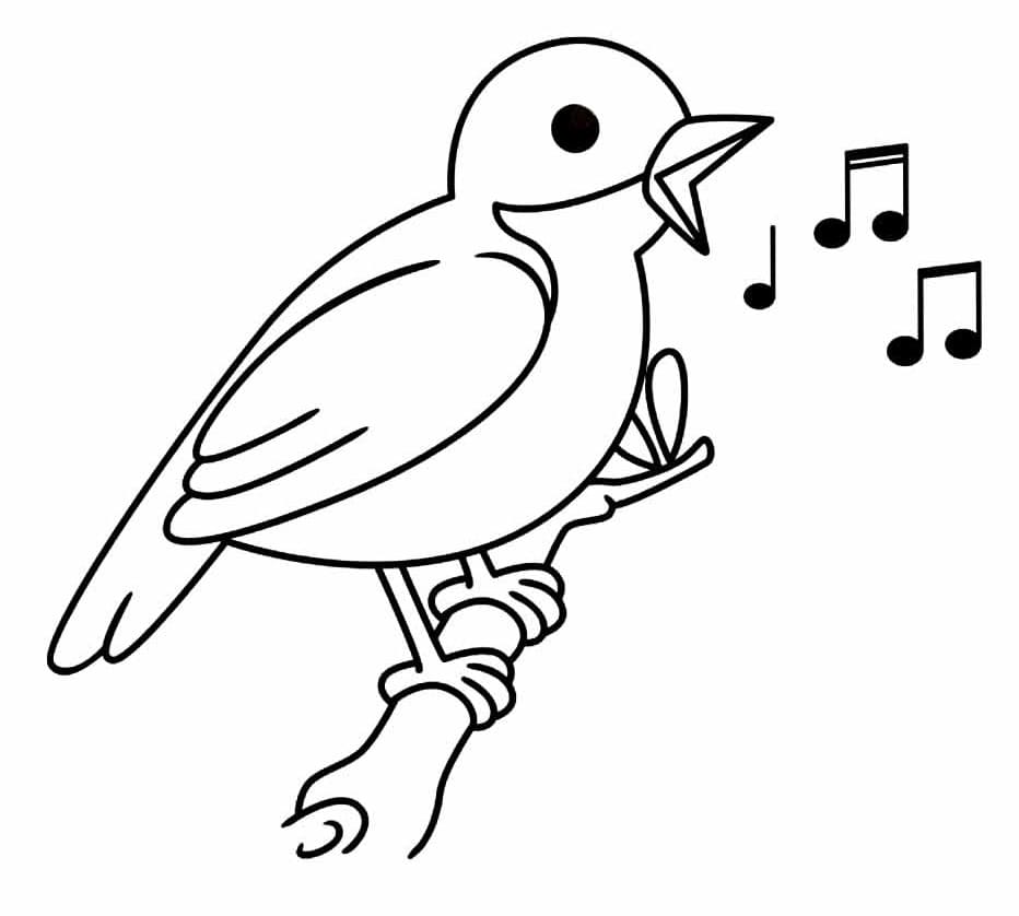 Vogel (4) ausmalbilder