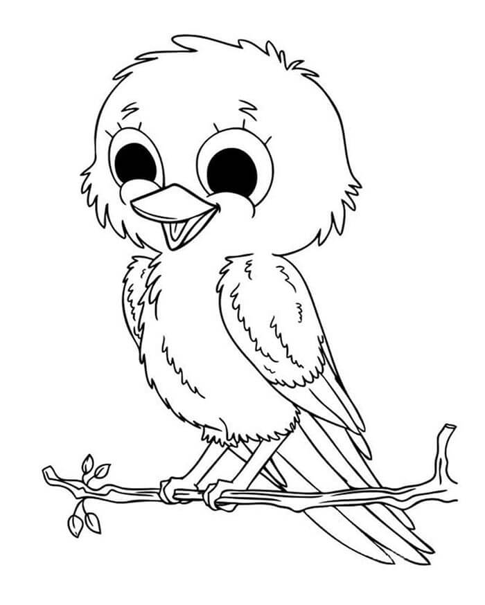 Vogel Für 6-Jährige Kinder ausmalbilder