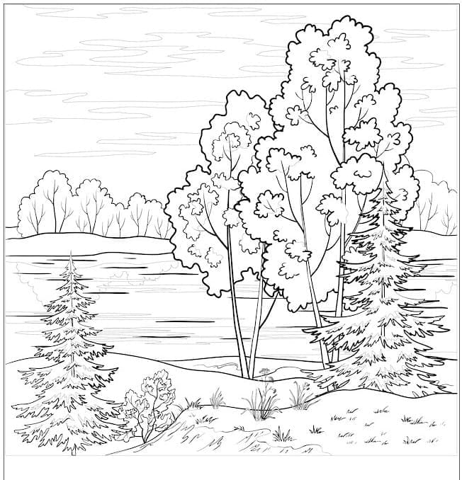 Wald für 4-jährige Kinder ausmalbilder