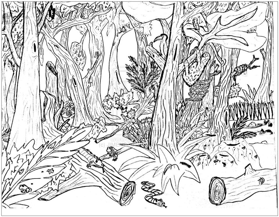 Wald kostenlos für Kinder ausmalbilder